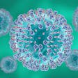 CDC respiratory virus guidance